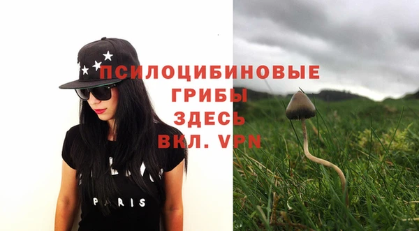MDMA Лагань