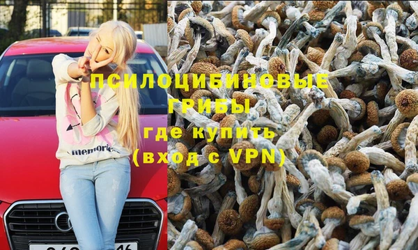 гидропоника Лабытнанги