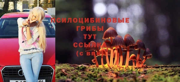 MDMA Лагань