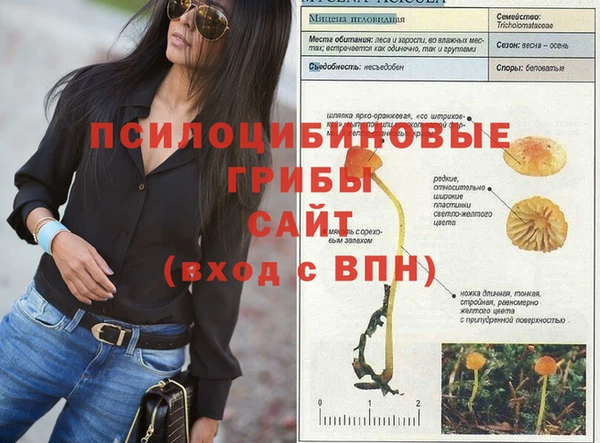 MDMA Лагань
