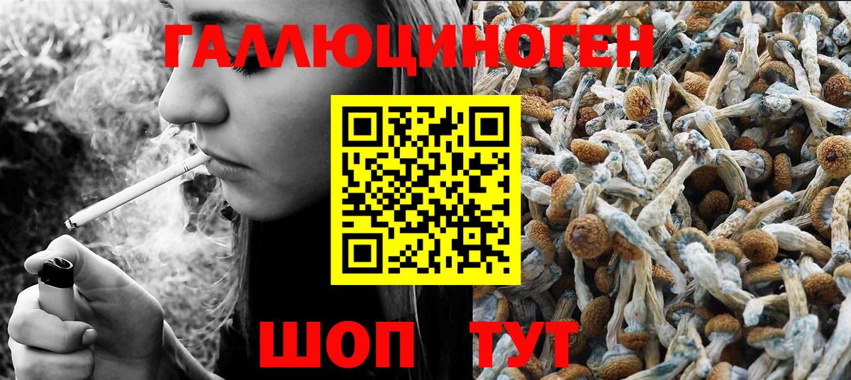 Галлюциногенные грибы Psilocybe  Вход с VPN  Джанкой 