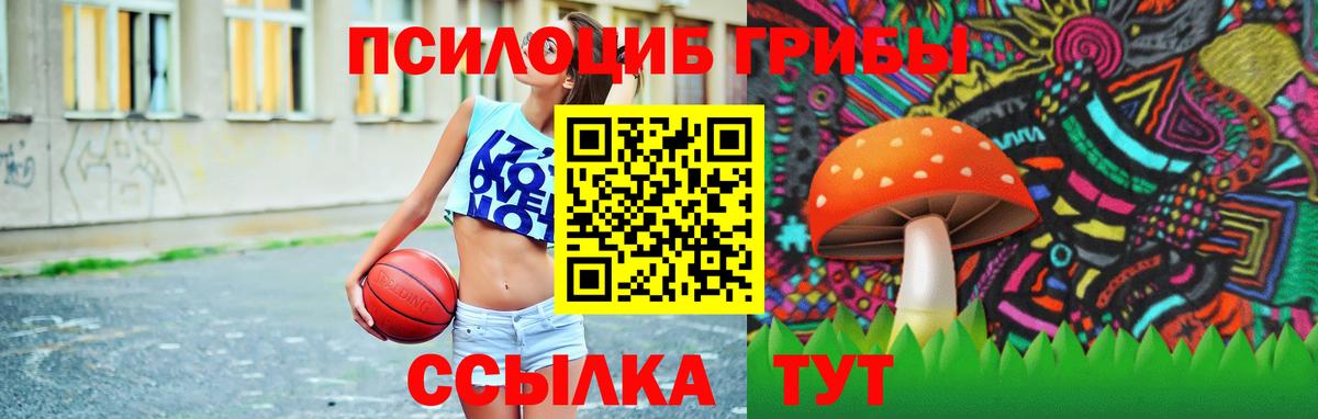 Галлюциногенные грибы Psilocybine cubensis Джанкой