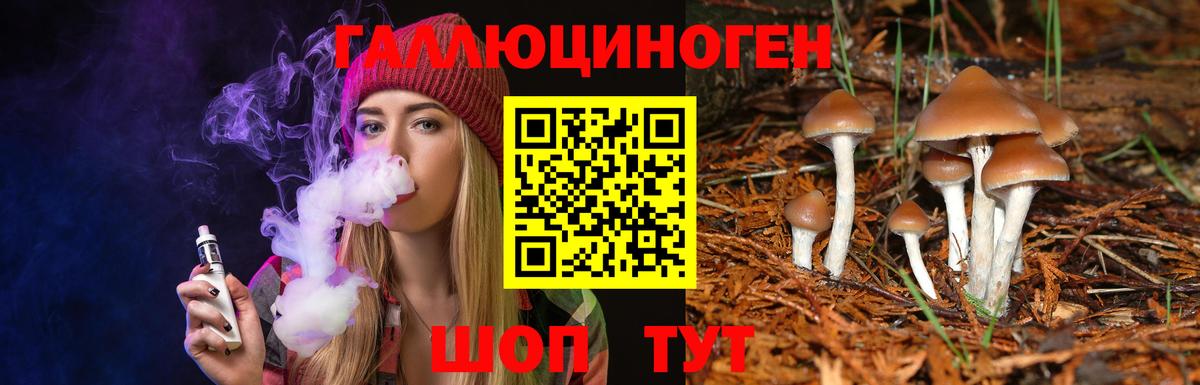 Галлюциногенные грибы MAGIC MUSHROOMS Джанкой