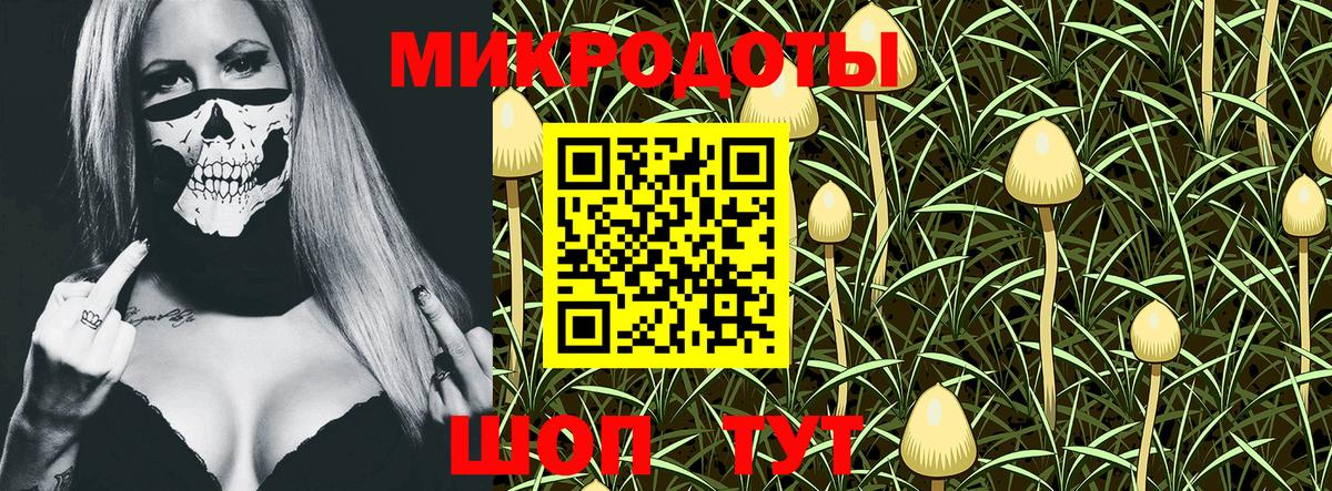 Галлюциногенные грибы мицелий  дарнет шоп  Джанкой  Галлюциногенные грибы мицелий 